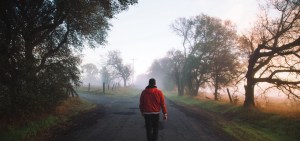 photo-1418874586588-88661ed80c4a