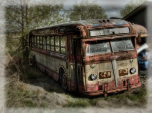 495584940_d66f12081f_b