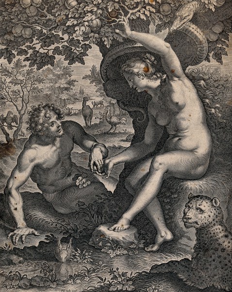V0034192 In the Garden of Eden, Eve offers Adam the apple. Line engra